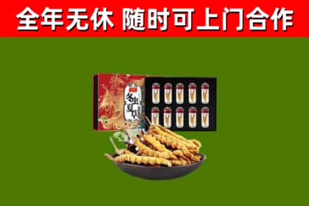 开江回收冬虫夏草价格