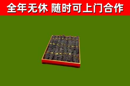 开江回收海参